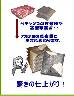 ���z�c�̑Œ���
